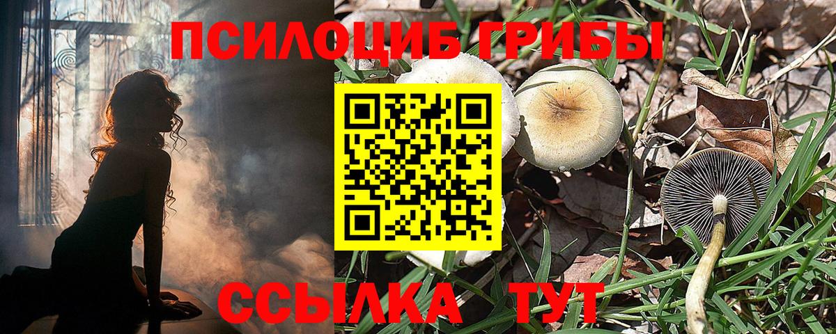Галлюциногенные грибы прущие грибы  Галлюциногенные грибы GOLDEN TEACHER  Вход с VPN  Феодосия 